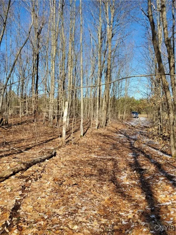 196 Butterfield Road, Lisle, New York 13835, Lisle, New York 13835, ,Land,Closed,196 Butterfield Road, Lisle, New York 13835,0,S1635299