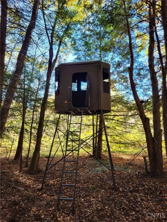 196 Butterfield Road, Lisle, New York 13835, Lisle, New York 13835, ,Land,Closed,196 Butterfield Road, Lisle, New York 13835,0,S1635299