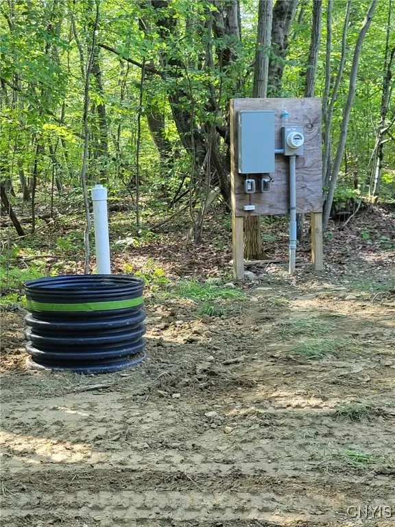 196 Butterfield Road, Lisle, New York 13835, Lisle, New York 13835, ,Land,Closed,196 Butterfield Road, Lisle, New York 13835,0,S1635299