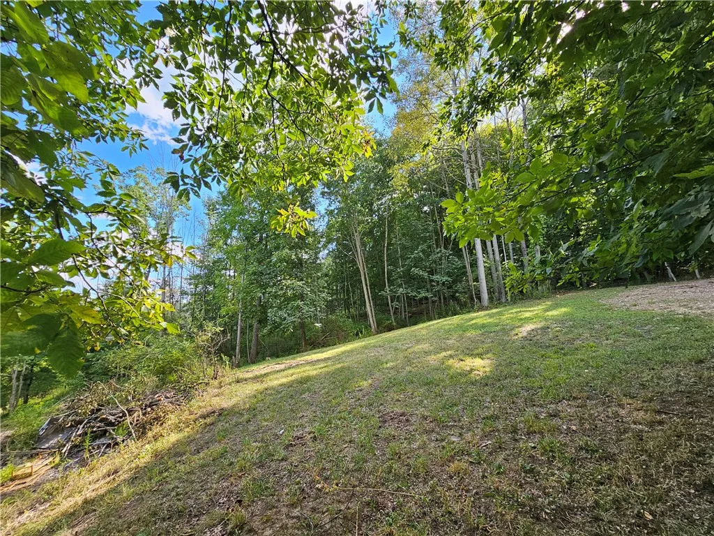 1189 Willey Road, Dansville, New York 14807, Dansville, New York 14807, 2 Bedrooms Bedrooms, 6 Rooms Rooms,1 BathroomBathrooms,Residential,For Sale,1189 Willey Road, Dansville, New York 14807,0,R1634839