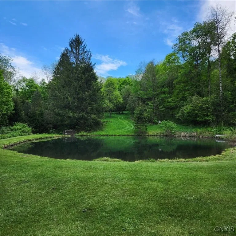 5984 Dresserville Road, Sempronius, New York 13118, Sempronius, New York 13118, 2 Bedrooms Bedrooms, 6 Rooms Rooms,2 BathroomsBathrooms,Land,For Sale,5984 Dresserville Road, Sempronius, New York 13118,0,S1634575