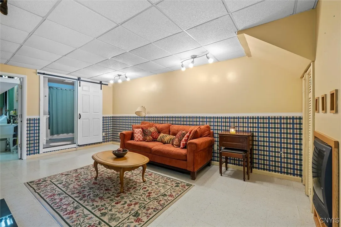 Lower level living room