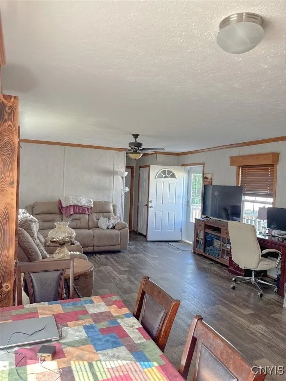 Living and dining area
