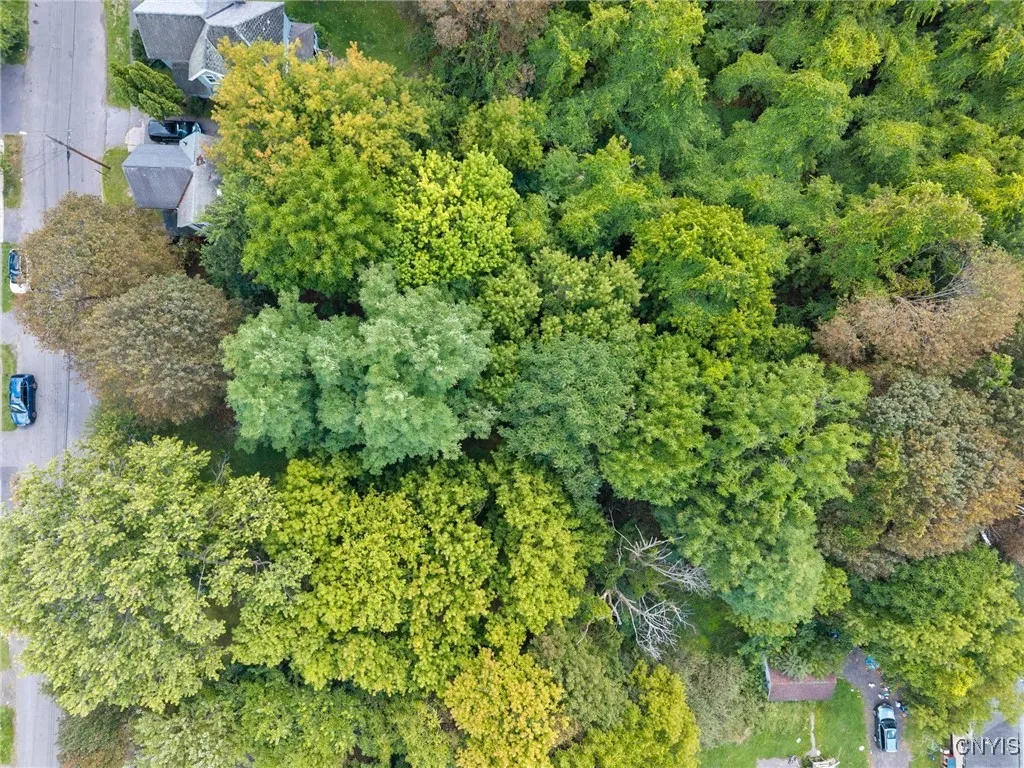 126 1/2 - 128 Hatch Street, Syracuse, New York 132, Syracuse, New York 13205, ,Land,For Sale,126 1/2 - 128 Hatch Street, Syracuse, New York 132,0,S1635286