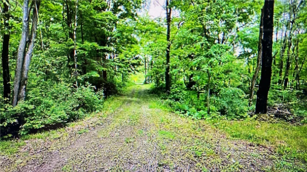 849 Hopper Road, Hanover, New York 14062, Hanover, New York 14062, ,Land,Closed,849 Hopper Road, Hanover, New York 14062,0,B1635754