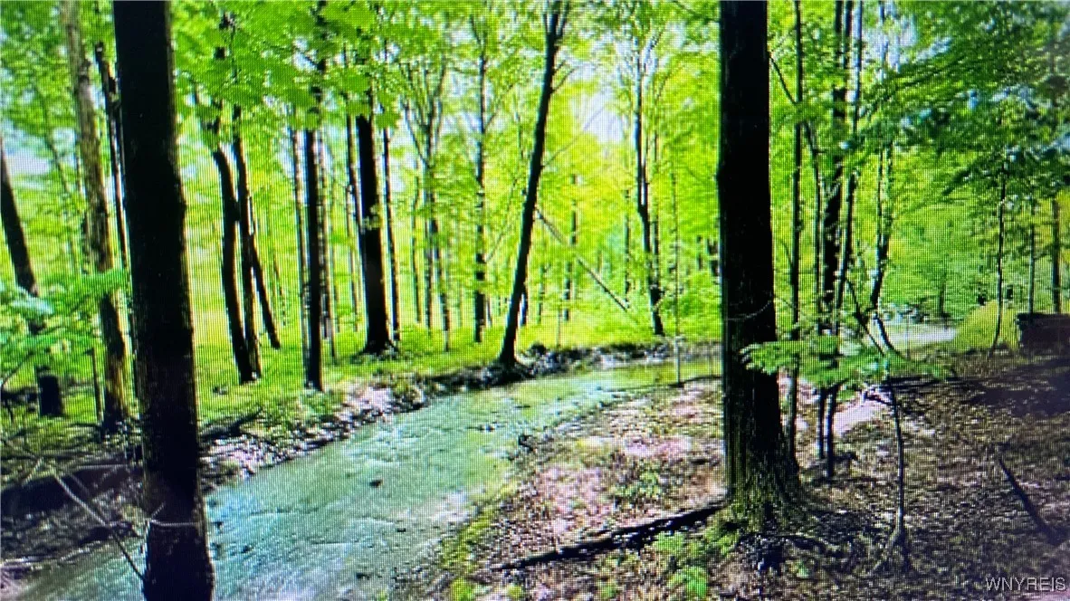 849 Hopper Road, Hanover, New York 14062, Hanover, New York 14062, ,Land,Closed,849 Hopper Road, Hanover, New York 14062,0,B1635754