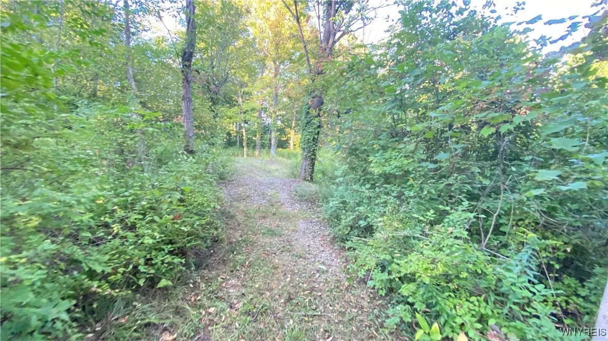 849 Hopper Road, Hanover, New York 14062, Hanover, New York 14062, ,Land,Closed,849 Hopper Road, Hanover, New York 14062,0,B1635754