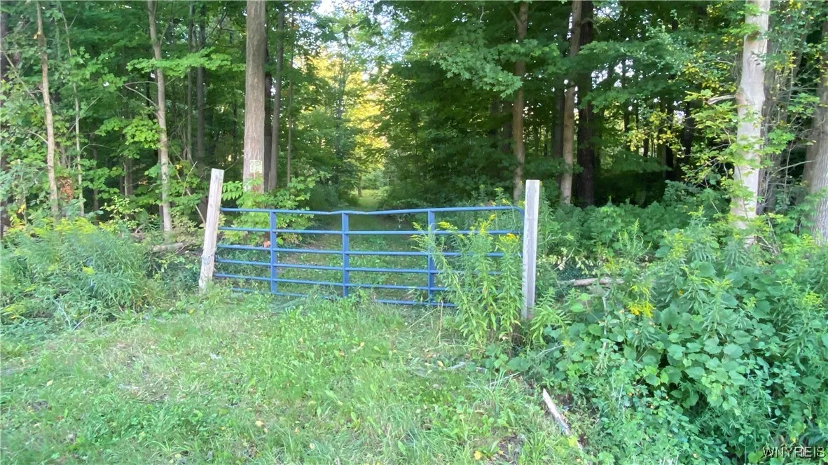 849 Hopper Road, Hanover, New York 14062, Hanover, New York 14062, ,Land,Closed,849 Hopper Road, Hanover, New York 14062,0,B1635754