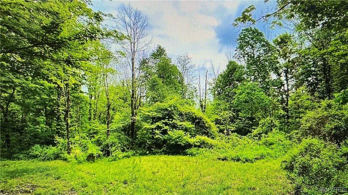 849 Hopper Road, Hanover, New York 14062, Hanover, New York 14062, ,Land,Closed,849 Hopper Road, Hanover, New York 14062,0,B1635754