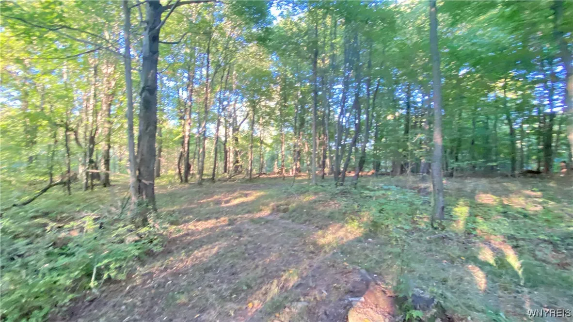 849 Hopper Road, Hanover, New York 14062, Hanover, New York 14062, ,Land,Closed,849 Hopper Road, Hanover, New York 14062,0,B1635754