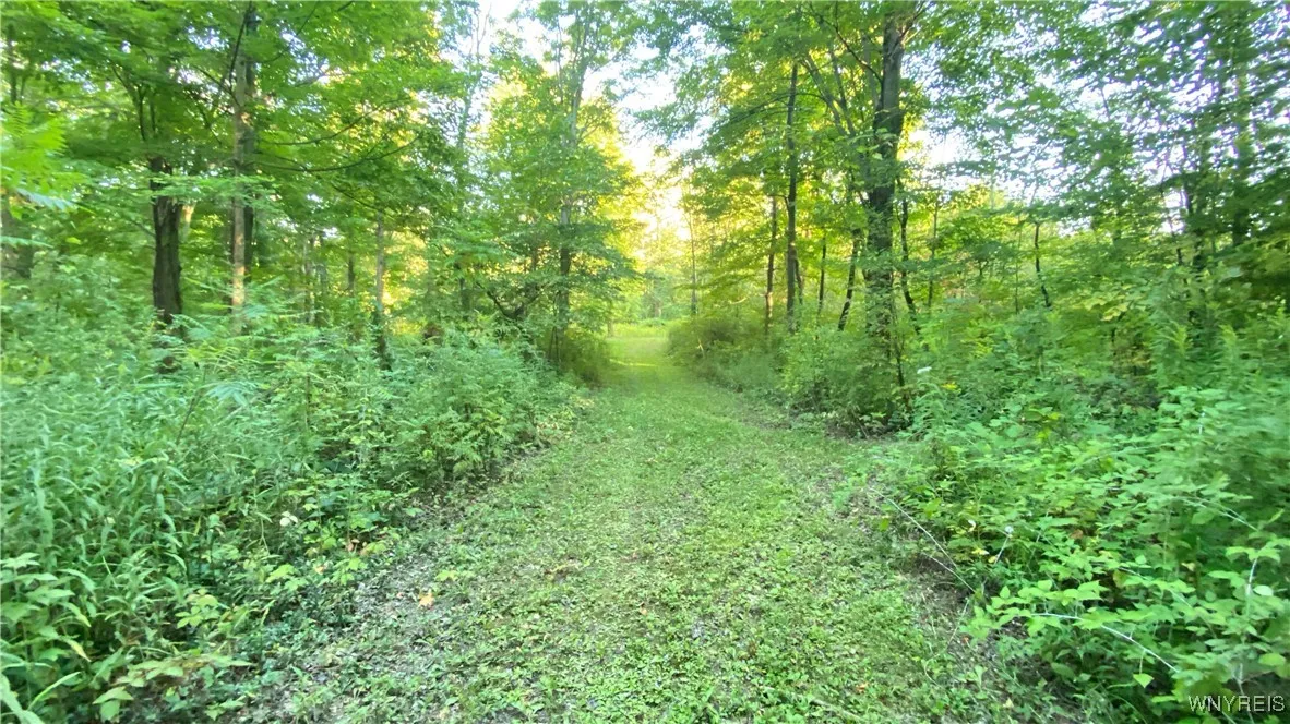 849 Hopper Road, Hanover, New York 14062, Hanover, New York 14062, ,Land,Closed,849 Hopper Road, Hanover, New York 14062,0,B1635754