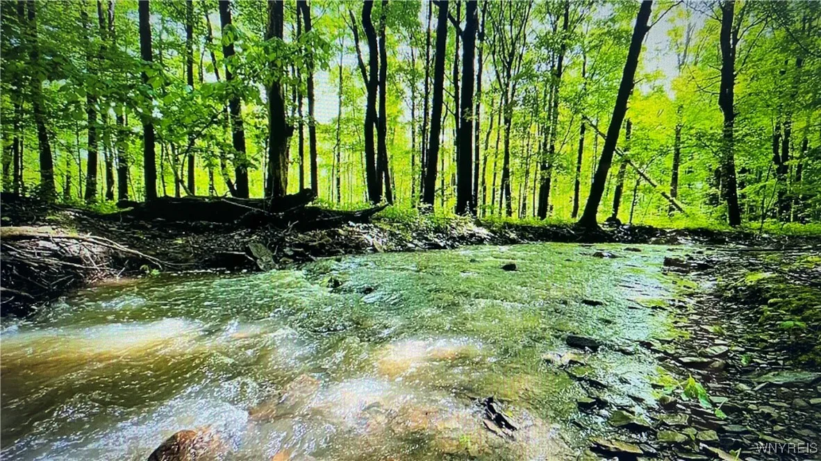 849 Hopper Road, Hanover, New York 14062, Hanover, New York 14062, ,Land,Closed,849 Hopper Road, Hanover, New York 14062,0,B1635754