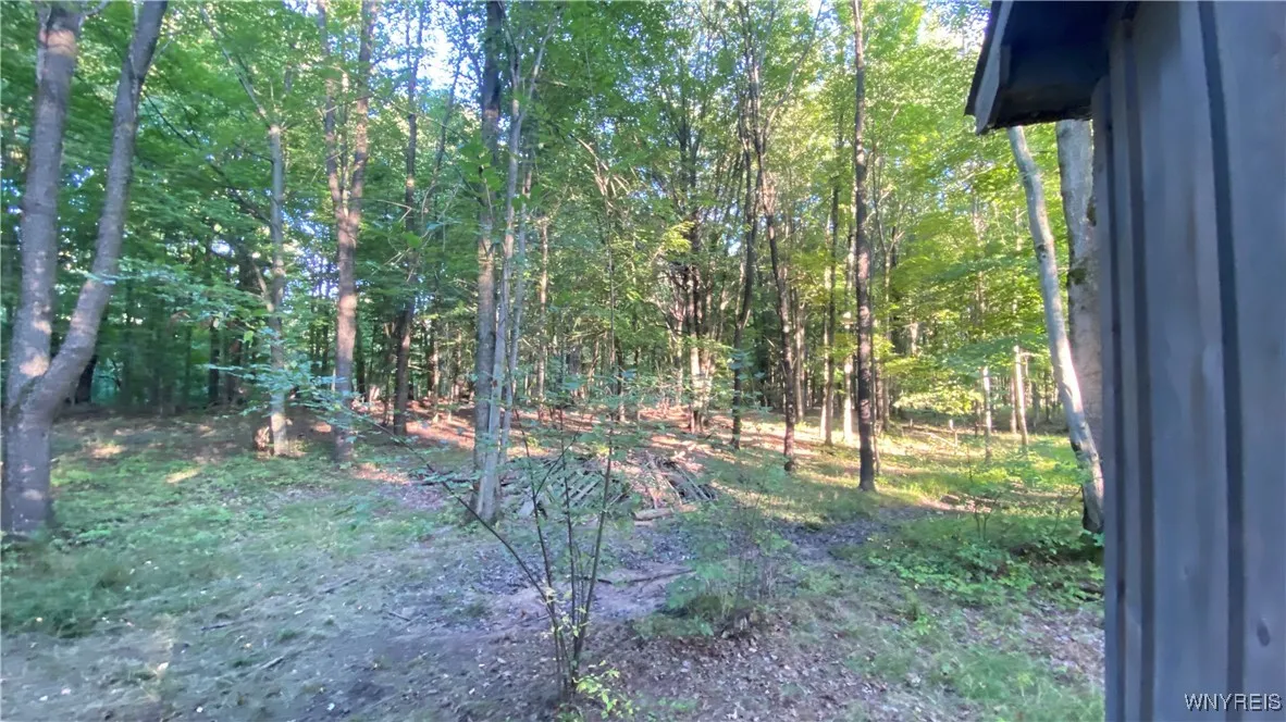 849 Hopper Road, Hanover, New York 14062, Hanover, New York 14062, ,Land,Closed,849 Hopper Road, Hanover, New York 14062,0,B1635754