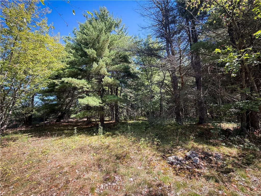 39245 Hyde Lake Road, Theresa, New York 13691, Theresa, New York 13691, 3 Bedrooms Bedrooms, ,1 BathroomBathrooms,Land,For Sale,39245 Hyde Lake Road, Theresa, New York 13691,0,R1635774
