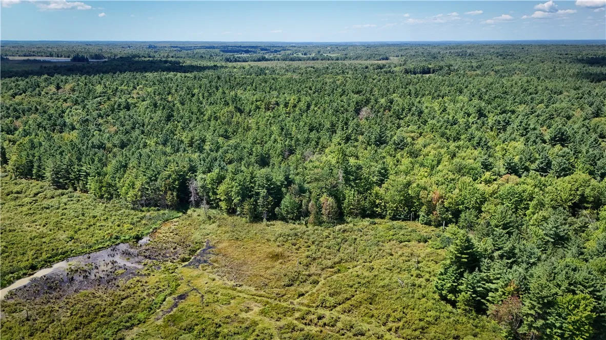 39245 Hyde Lake Road, Theresa, New York 13691, Theresa, New York 13691, 3 Bedrooms Bedrooms, ,1 BathroomBathrooms,Land,For Sale,39245 Hyde Lake Road, Theresa, New York 13691,0,R1635774