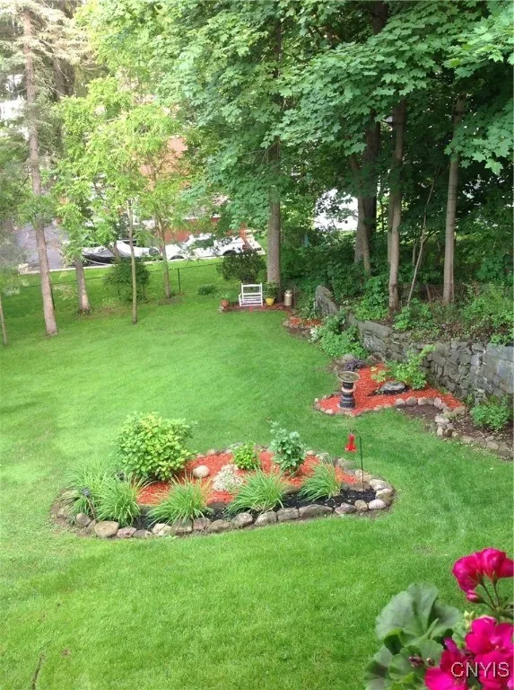 ** BACK OF GROUNDS IN SUMMER ***