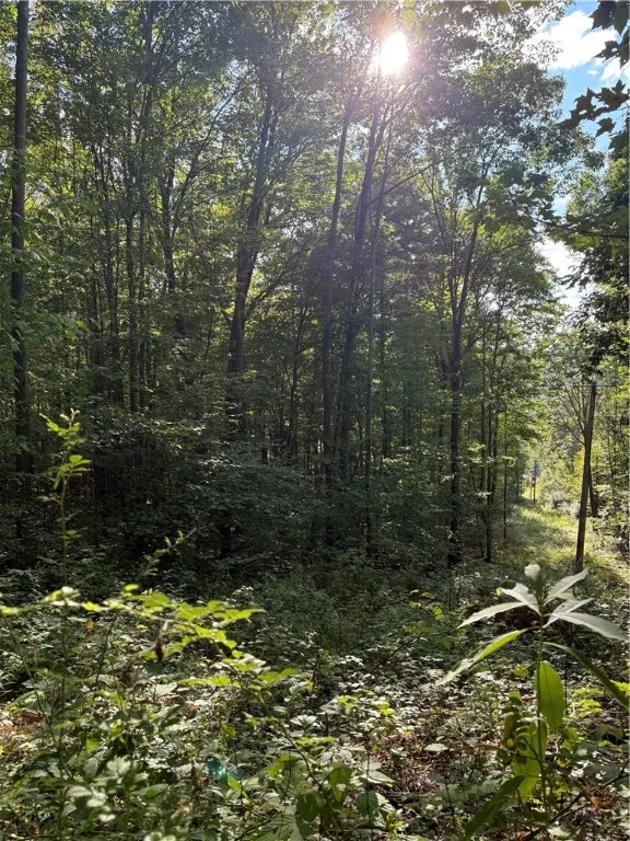 568 Steege Hill Road, Big Flats, New York 14830, Big Flats, New York 14830, 4 Bedrooms Bedrooms, 9 Rooms Rooms,2 BathroomsBathrooms,Residential,Closed,568 Steege Hill Road, Big Flats, New York 14830,0,R1635246