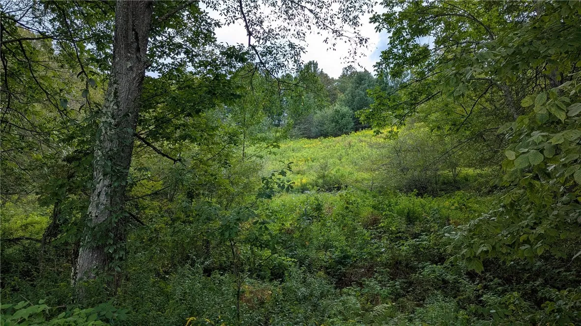12055 Turnpike Road, Kortright, New York 13757, Kortright, New York 13757, 5 Bedrooms Bedrooms, 11 Rooms Rooms,2 BathroomsBathrooms,Residential,For Sale,12055 Turnpike Road, Kortright, New York 13757,0,R1635797