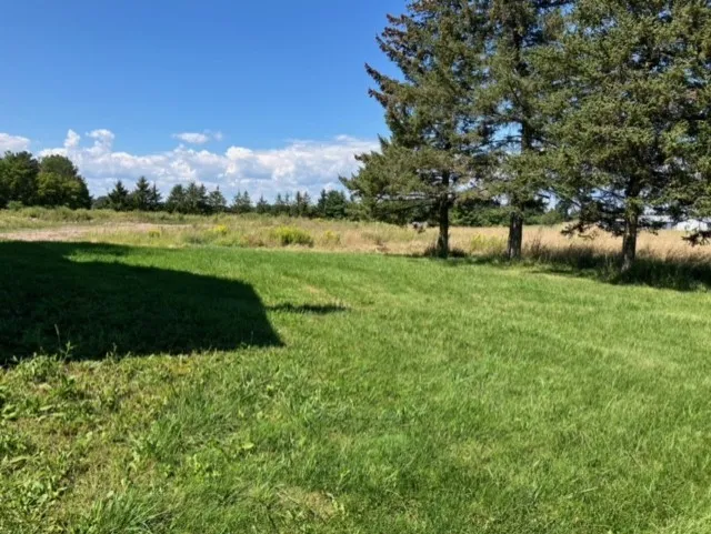 Private Backyard