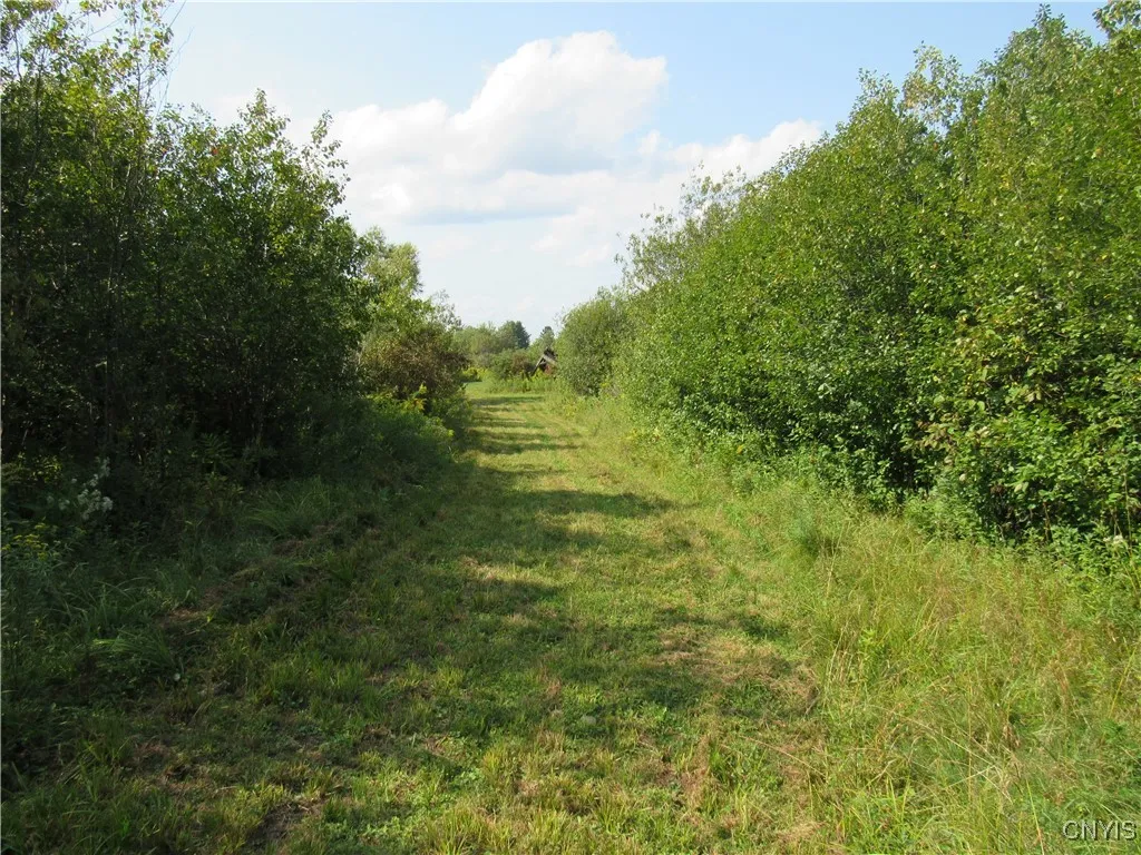 More Trails