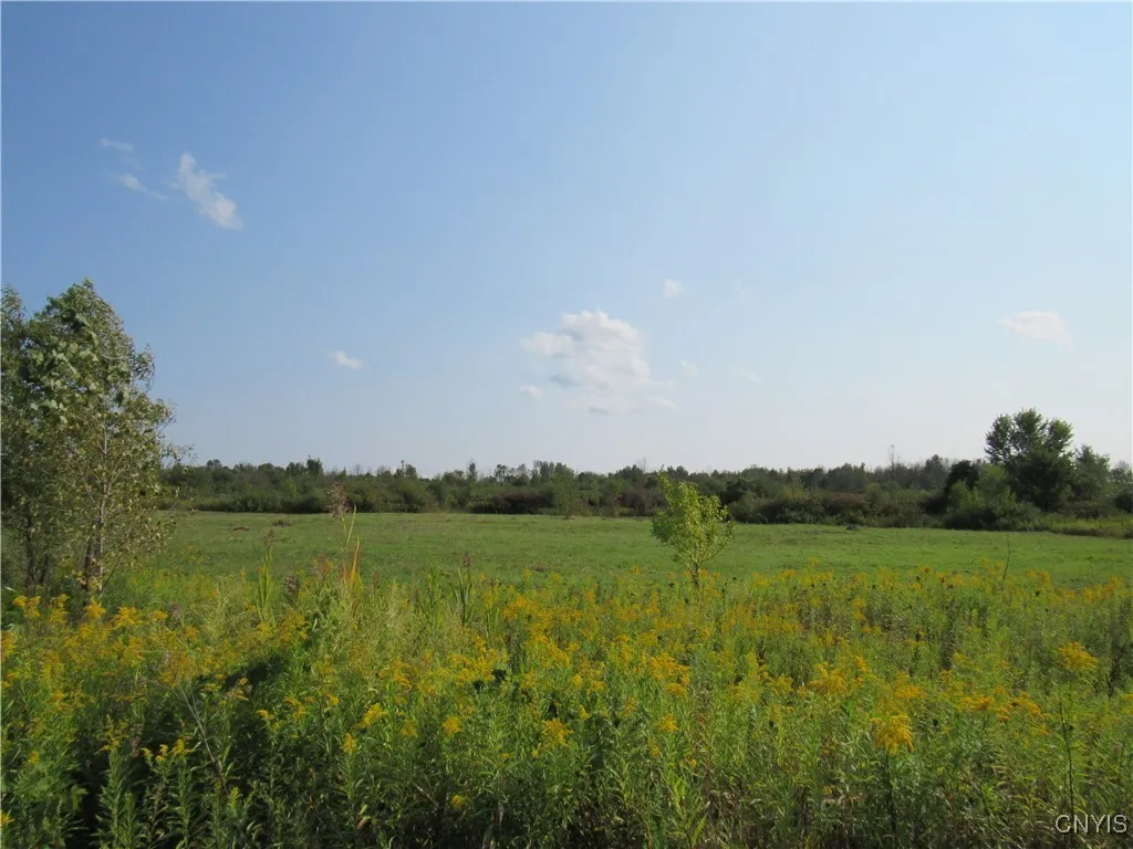 Nice open Lots