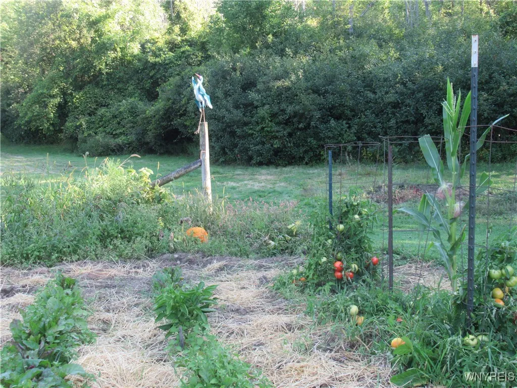 Beautiful Garden - Just may see a Pumpkin or Two!!