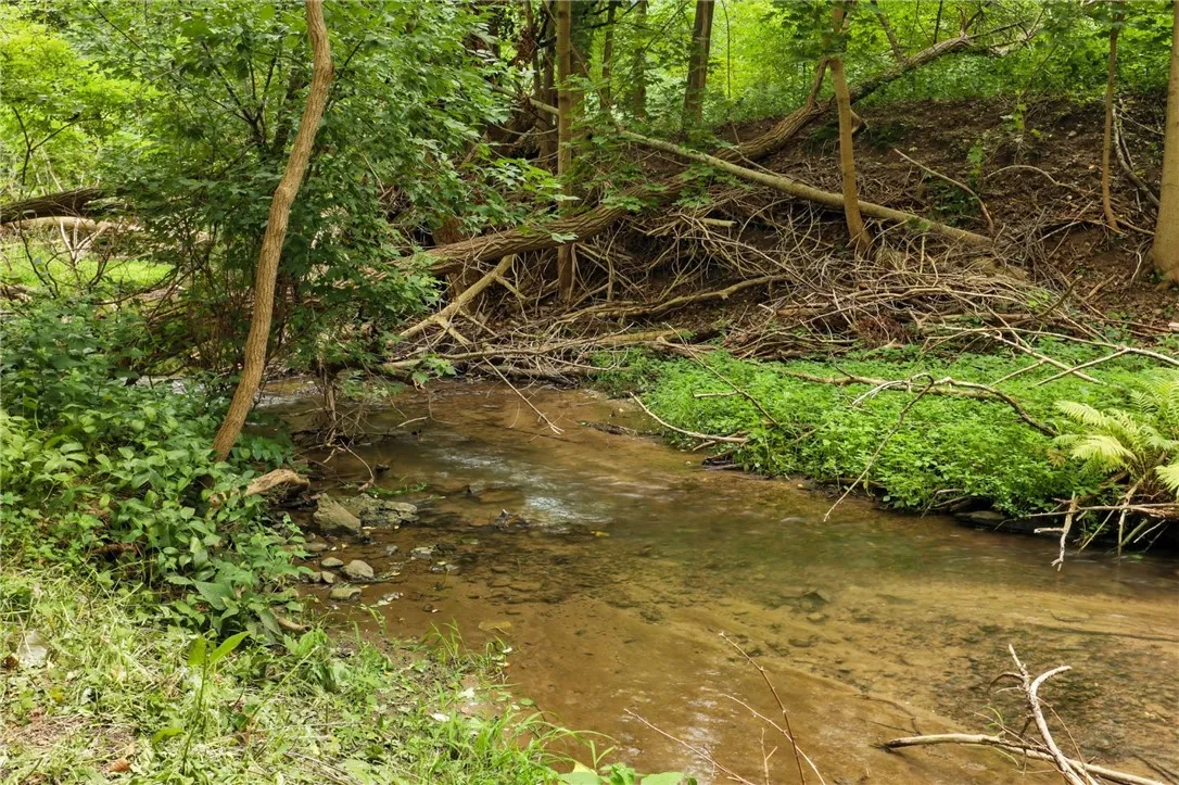 5639 Palmyra Road, Pittsford, New York 14534, Pittsford, New York 14534, 3 Bedrooms Bedrooms, ,3 BathroomsBathrooms,Residential,Closed,5639 Palmyra Road, Pittsford, New York 14534,0,R1634933