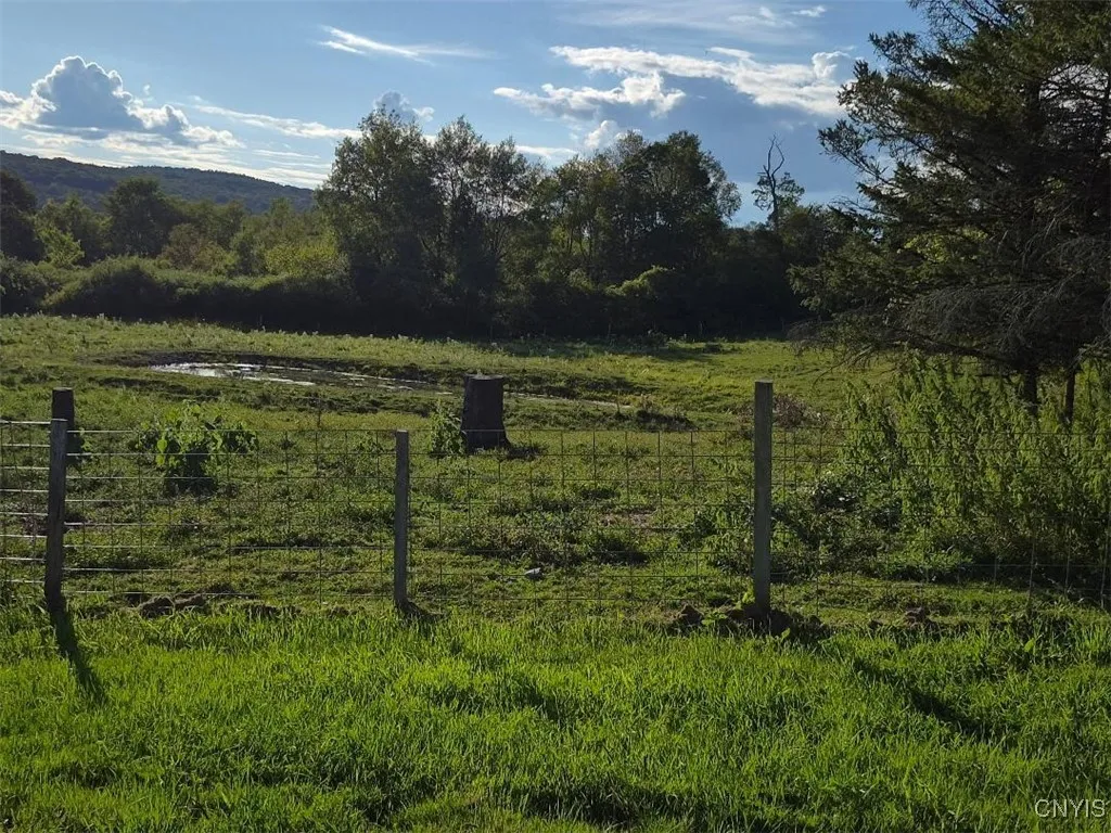 2918 State Rt. 41 Highway, Freetown, New York 1304, Cincinnatus, New York 13040, 3 Bedrooms Bedrooms, ,1 BathroomBathrooms,Land,For Sale,2918 State Rt. 41 Highway, Freetown, New York 1304,0,S1635392