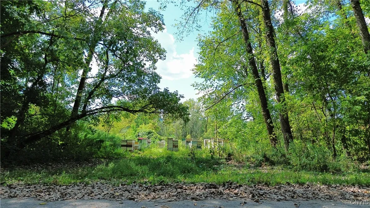 Lot 14.1 Piece 2 Ashe Road, Manheim, New York 1336, Manheim, New York 13365, ,Land,For Sale,Lot 14.1 Piece 2 Ashe Road, Manheim, New York 1336,0,S1635940