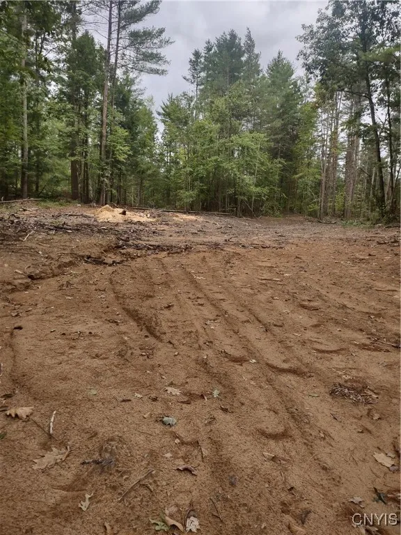 Oswego Road, Rome, New York 13440, Rome, New York 13440, ,Land,For Sale,Oswego Road, Rome, New York 13440,0,S1635918