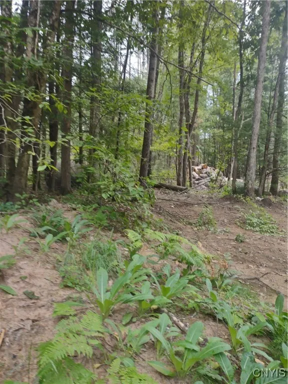 Oswego Road, Rome, New York 13440, Rome, New York 13440, ,Land,For Sale,Oswego Road, Rome, New York 13440,0,S1635918
