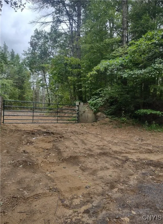 Oswego Road, Rome, New York 13440, Rome, New York 13440, ,Land,For Sale,Oswego Road, Rome, New York 13440,0,S1635918