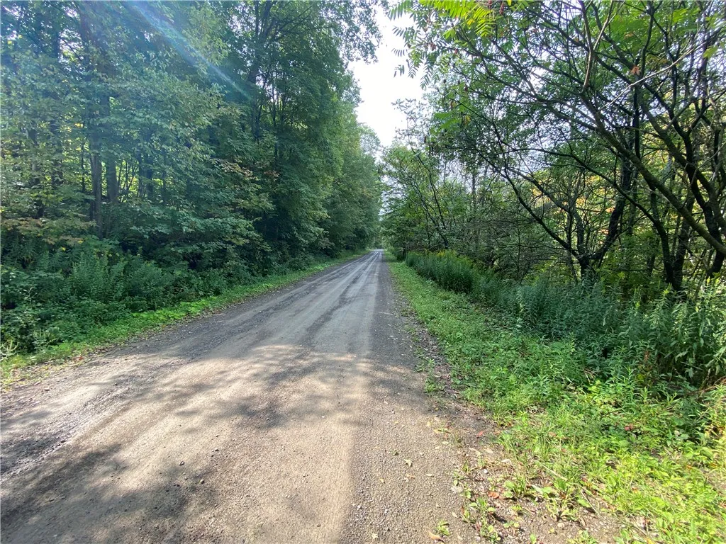 10105 Mattice Road, Cohocton, New York 14826, Cohocton, New York 14826, 1 Bedroom Bedrooms, ,Land,Closed,10105 Mattice Road, Cohocton, New York 14826,0,R1628273