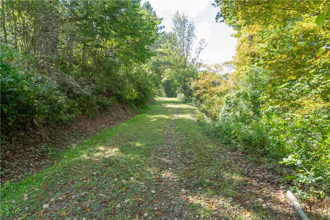 10105 Mattice Road, Cohocton, New York 14826, Cohocton, New York 14826, 1 Bedroom Bedrooms, ,Land,Closed,10105 Mattice Road, Cohocton, New York 14826,0,R1628273