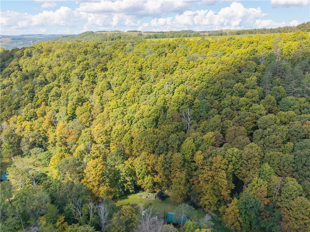 10105 Mattice Road, Cohocton, New York 14826, Cohocton, New York 14826, 1 Bedroom Bedrooms, ,Land,Closed,10105 Mattice Road, Cohocton, New York 14826,0,R1628273