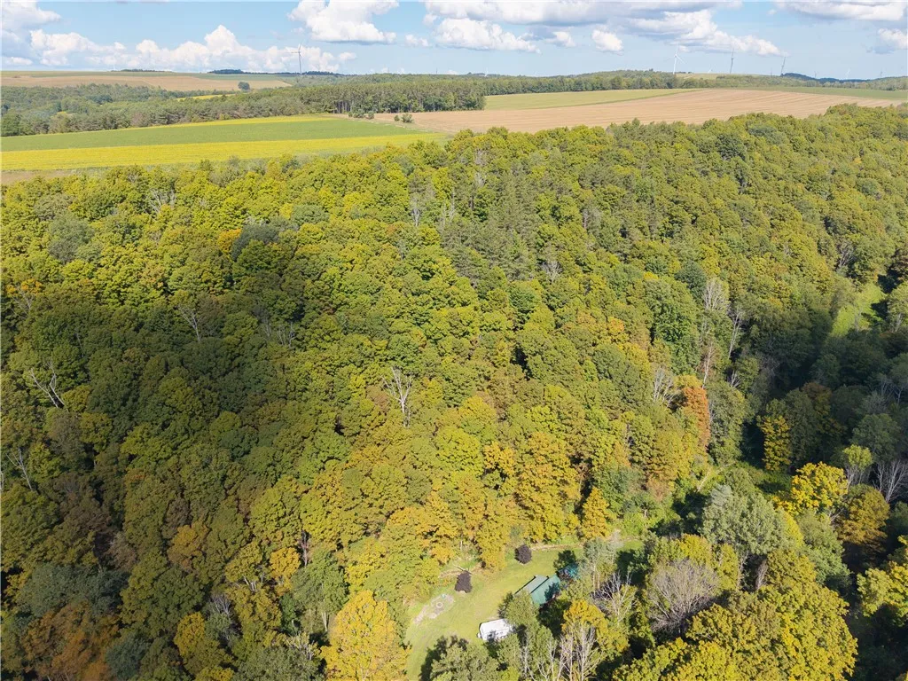 10105 Mattice Road, Cohocton, New York 14826, Cohocton, New York 14826, 1 Bedroom Bedrooms, ,Land,Closed,10105 Mattice Road, Cohocton, New York 14826,0,R1628273