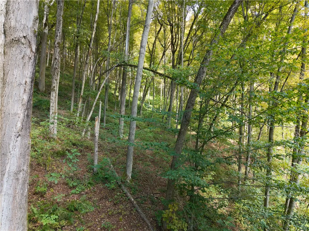 10105 Mattice Road, Cohocton, New York 14826, Cohocton, New York 14826, 1 Bedroom Bedrooms, ,Land,Closed,10105 Mattice Road, Cohocton, New York 14826,0,R1628273