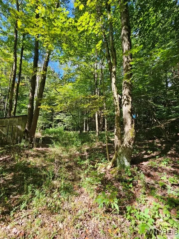 4837 Riceville Road, Machias, New York 14171, Machias, New York 14171, 2 Bedrooms Bedrooms, 4 Rooms Rooms,1 BathroomBathrooms,Residential,For Sale,4837 Riceville Road, Machias, New York 14171,0,B1635684