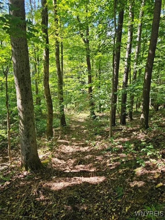 4837 Riceville Road, Machias, New York 14171, Machias, New York 14171, 2 Bedrooms Bedrooms, 4 Rooms Rooms,1 BathroomBathrooms,Residential,For Sale,4837 Riceville Road, Machias, New York 14171,0,B1635684