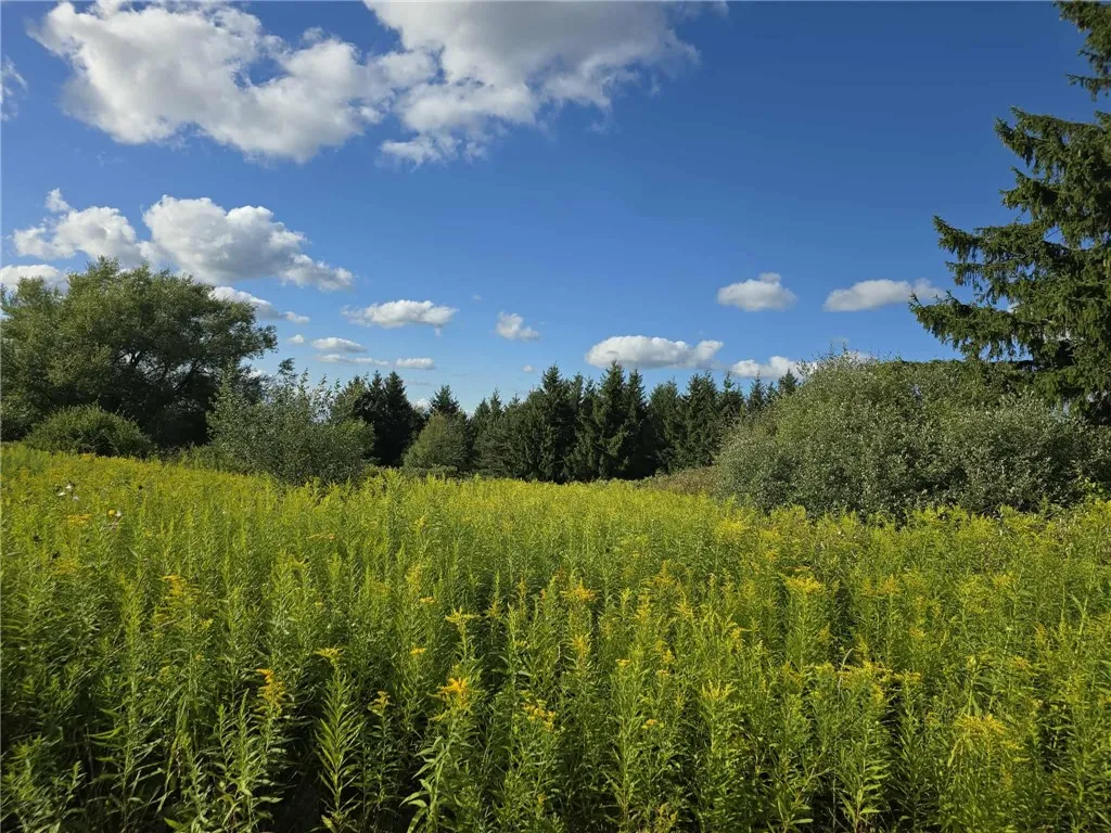 Call Hill Road, Hartsville, New York 14806, Hartsville, New York 14806, ,Land,For Sale,Call Hill Road, Hartsville, New York 14806,0,R1635938