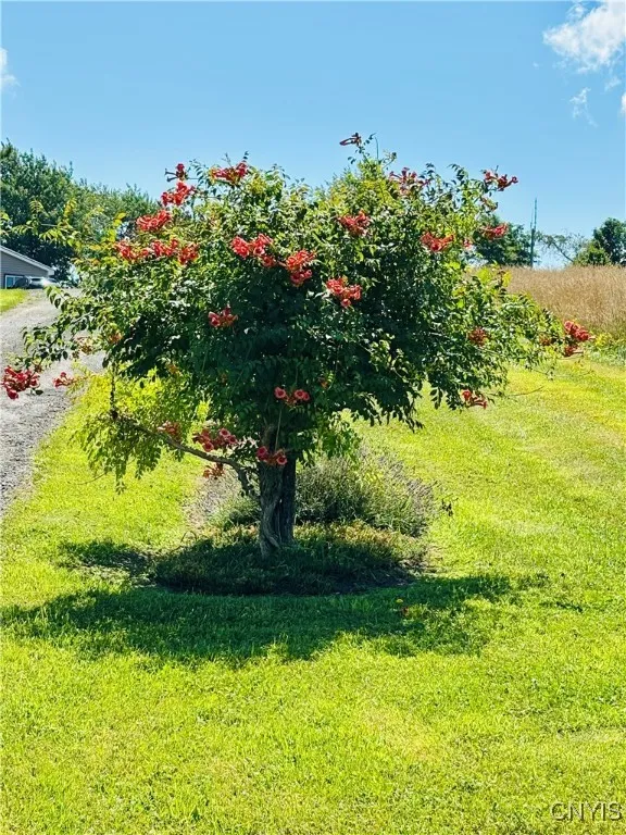 3228 Zelsnack Road, Marathon, New York 13803, Marathon, New York 13803, 3 Bedrooms Bedrooms, 6 Rooms Rooms,2 BathroomsBathrooms,Residential,For Sale,3228 Zelsnack Road, Marathon, New York 13803,0,S1635766