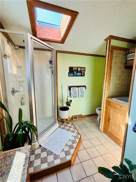 Natural light from skylight illuminates walk in shower