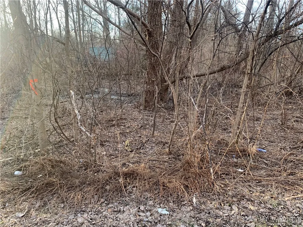 9450 Erie Road, Evans, New York 14006, Evans, New York 14006, ,Land,For Sale,9450 Erie Road, Evans, New York 14006,0,B1635946