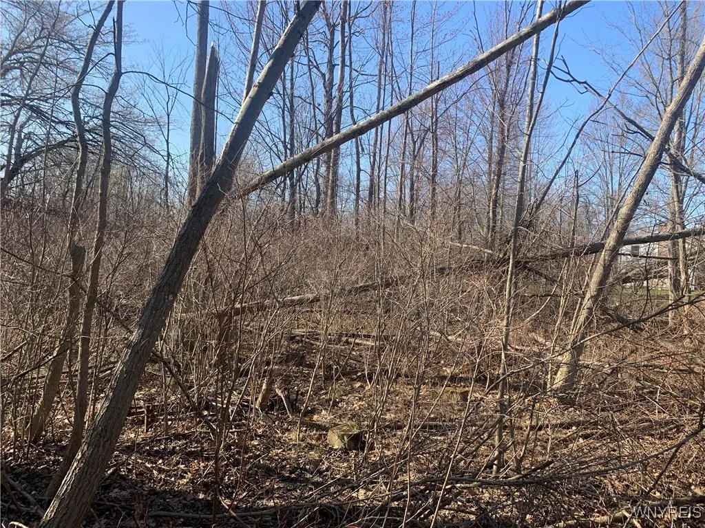 9450 Erie Road, Evans, New York 14006, Evans, New York 14006, ,Land,For Sale,9450 Erie Road, Evans, New York 14006,0,B1635946