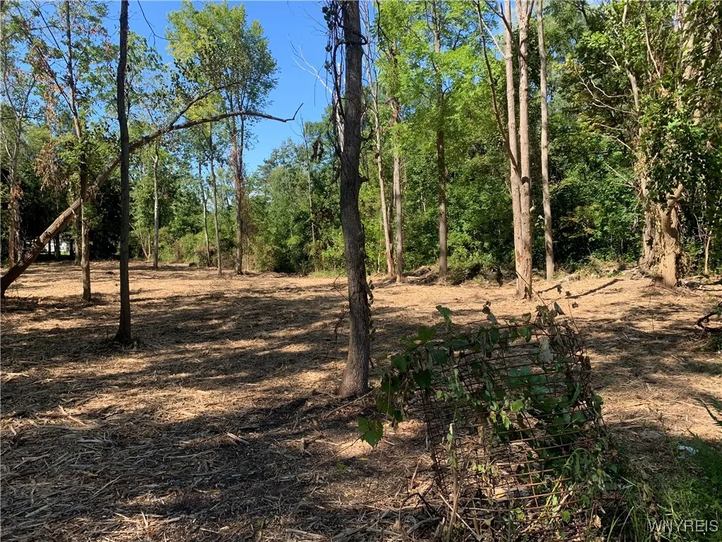 9450 Erie Road, Evans, New York 14006, Evans, New York 14006, ,Land,For Sale,9450 Erie Road, Evans, New York 14006,0,B1635946
