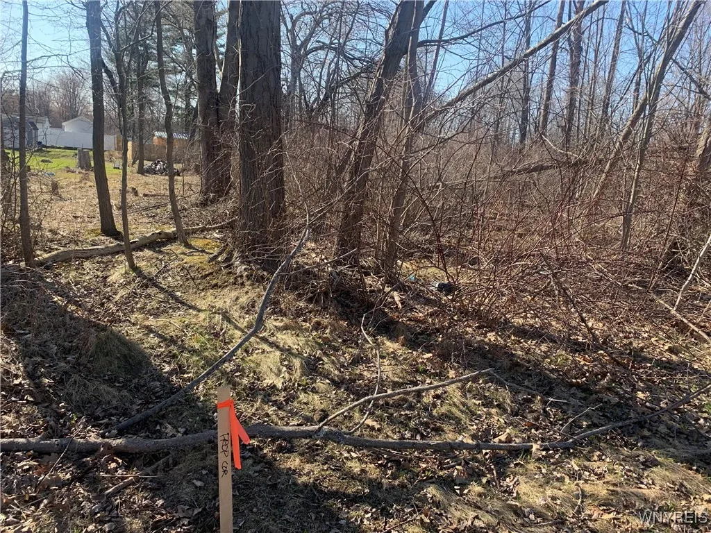 9450 Erie Road, Evans, New York 14006, Evans, New York 14006, ,Land,For Sale,9450 Erie Road, Evans, New York 14006,0,B1635946