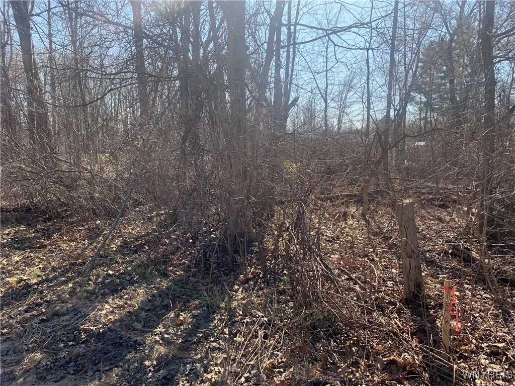 9450 Erie Road, Evans, New York 14006, Evans, New York 14006, ,Land,For Sale,9450 Erie Road, Evans, New York 14006,0,B1635946