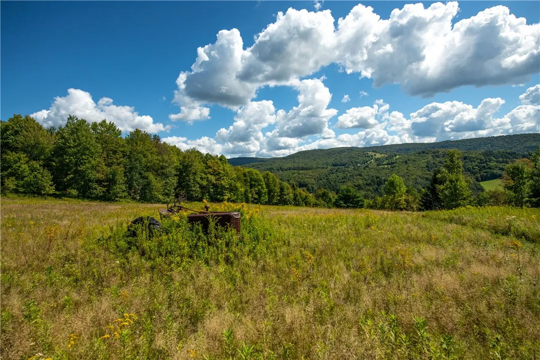 25 Depot Street Andes-delancey, Andes, New York 13, Andes, New York 13731, ,Land,For Sale,25 Depot Street Andes-delancey, Andes, New York 13,0,R1636014