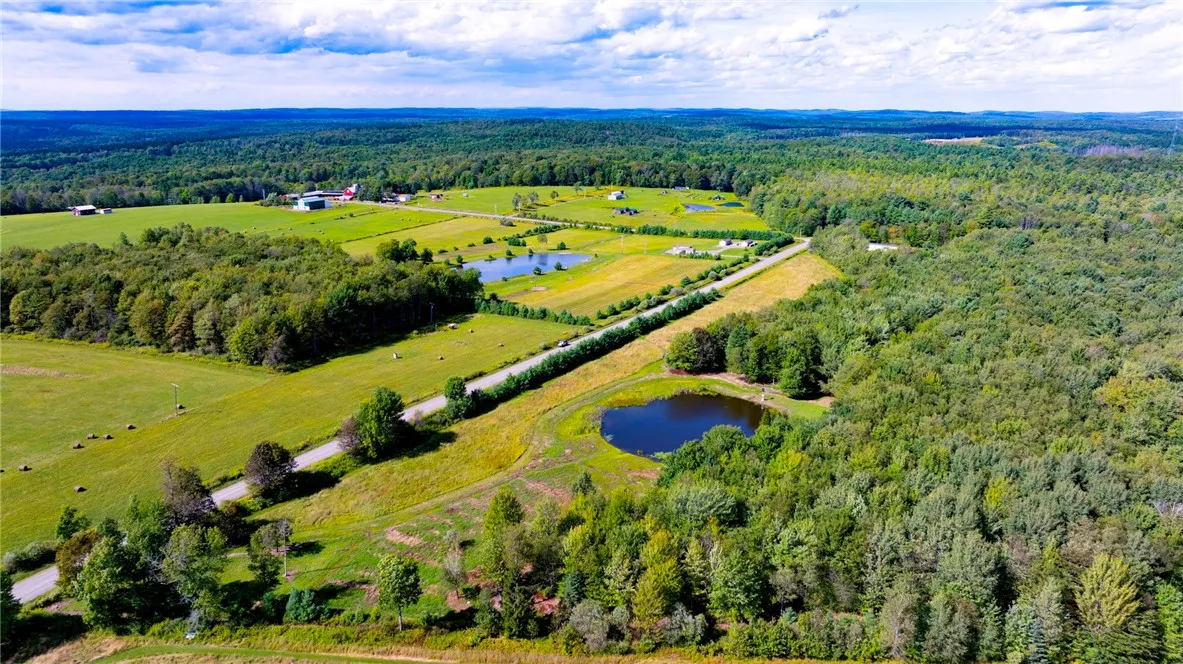 0 Tower Road, Pharsalia, New York 13815, Pharsalia, New York 13815, 1 Bedroom Bedrooms, 5 Rooms Rooms,1 BathroomBathrooms,Residential,For Sale,0 Tower Road, Pharsalia, New York 13815,0,R1634120