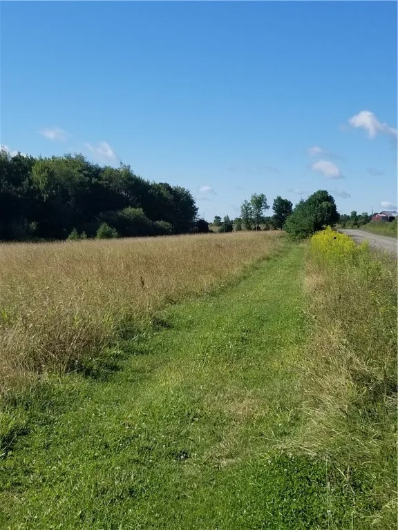 0 Tower Road, Pharsalia, New York 13815, Pharsalia, New York 13815, 1 Bedroom Bedrooms, 5 Rooms Rooms,1 BathroomBathrooms,Residential,For Sale,0 Tower Road, Pharsalia, New York 13815,0,R1634120